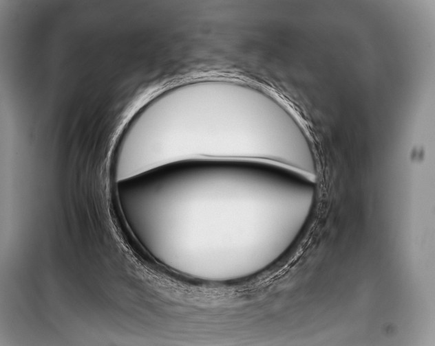 X0000101110008200806261120