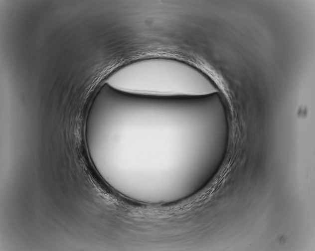 X0000101110009200806261120