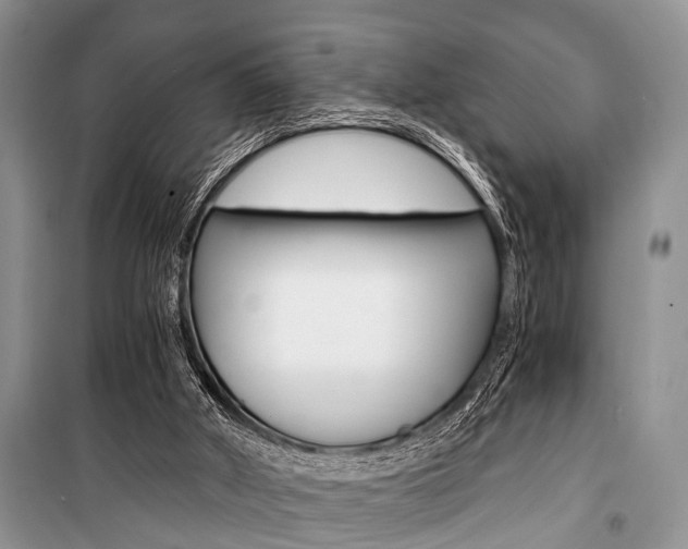 X0000101110010200806261120