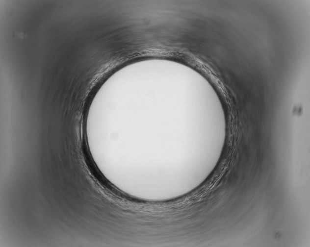 X0000101110011200806261120