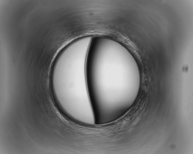 X0000101110012200806261120