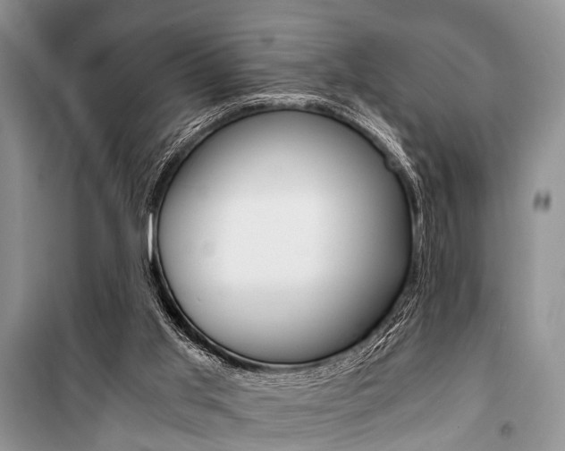 X0000101110013200806261120
