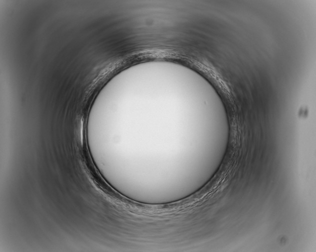 X0000101110014200806261120