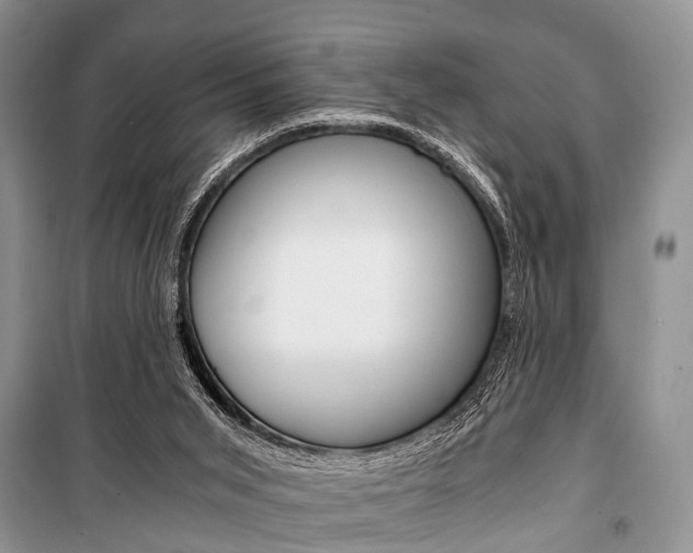X0000101110015200806261120