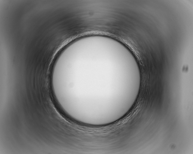 X0000101110016200806261120