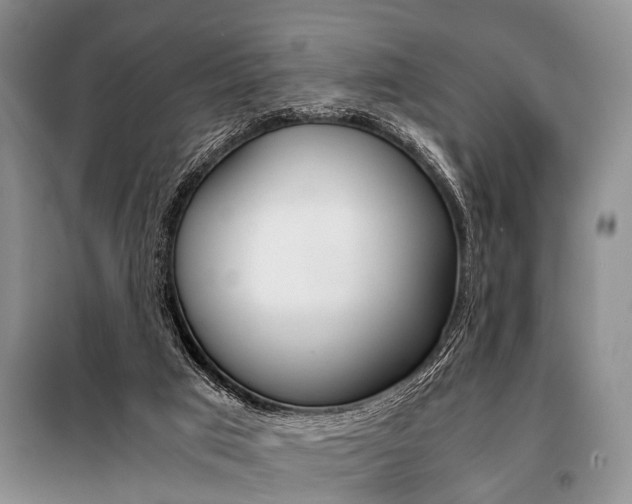 X0000101110017200806261120