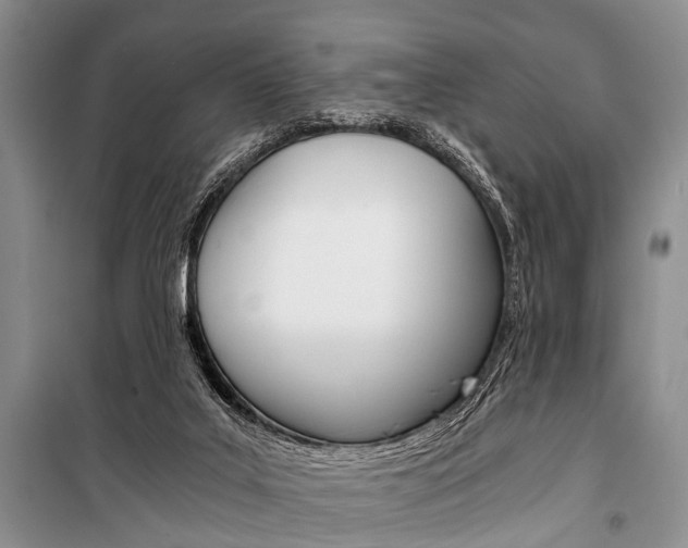 X0000101110019200806261120