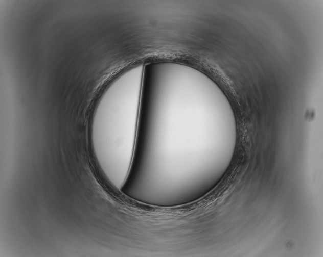 X0000101110020200806261120