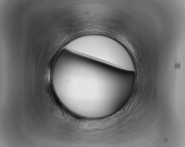 X0000101110021200806261120