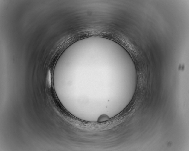 X0000101110022200806261120