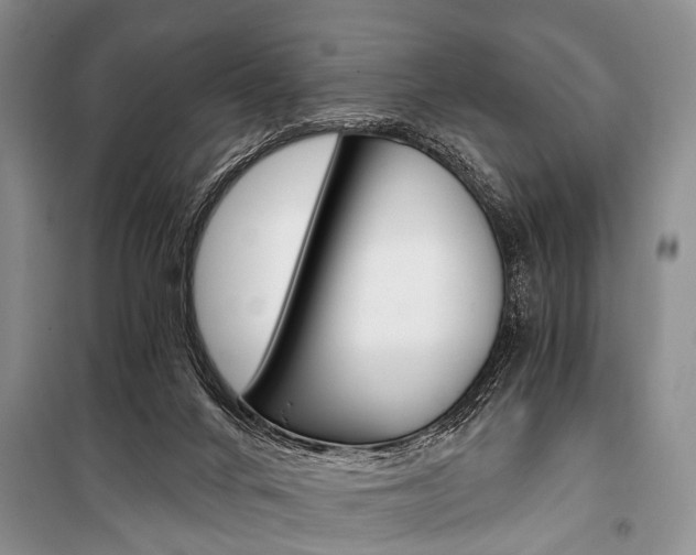 X0000101110024200806261120