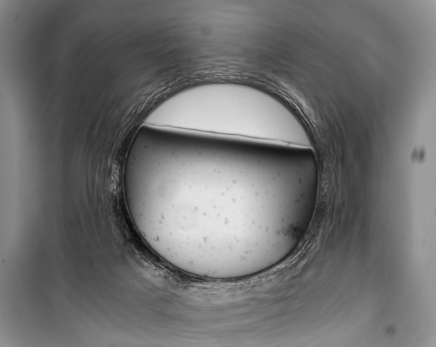 X0000101110025200806261120
