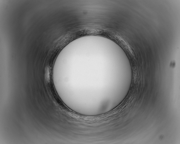 X0000101110026200806261120