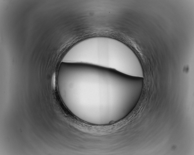 X0000101110027200806261120