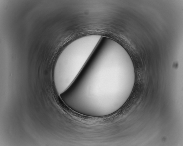X0000101110028200806261120