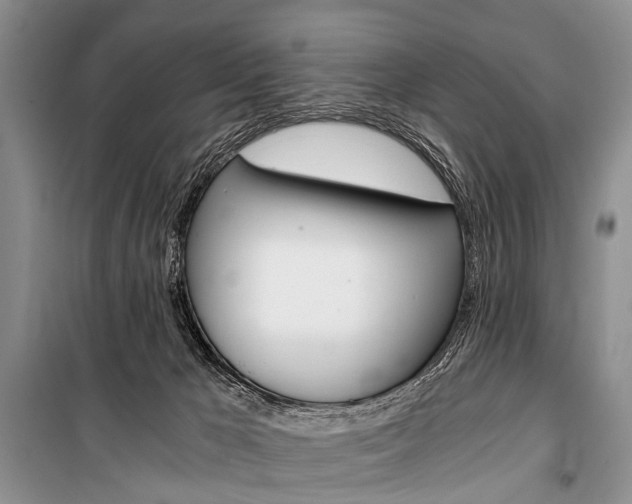 X0000101110029200806261120