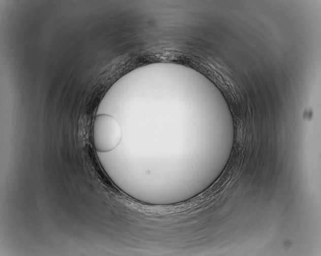 X0000101110030200806261120