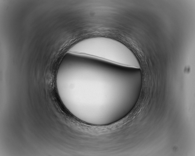 X0000101110031200806261120