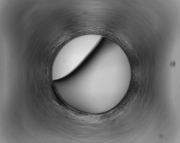 X0000101110032200806261120