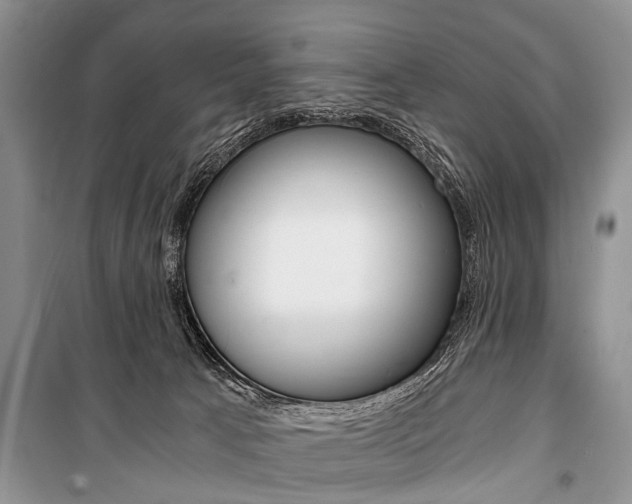 X0000101110033200806261120