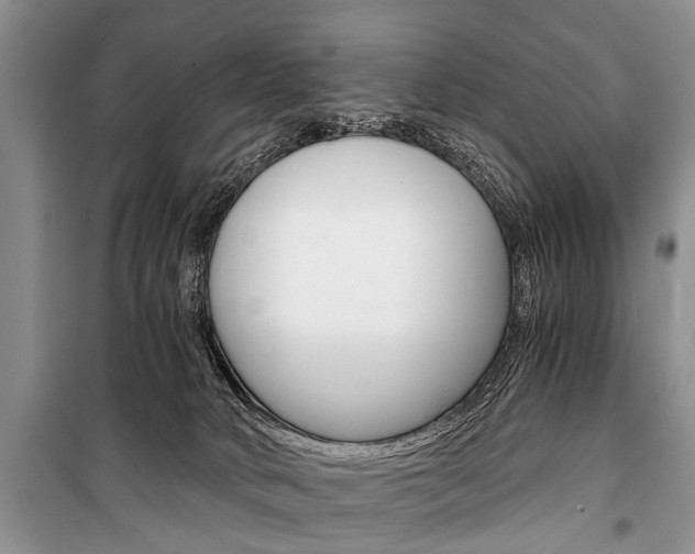 X0000101110034200806261120