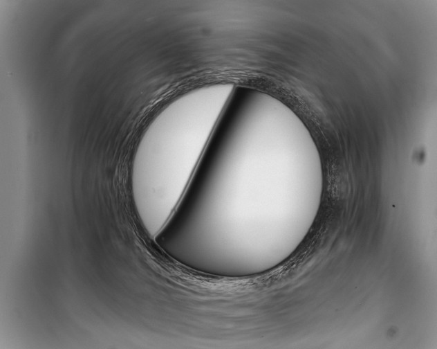 X0000101110036200806261120