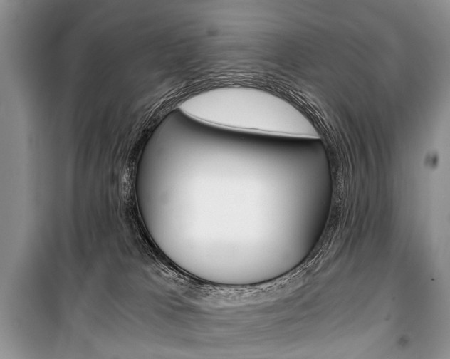 X0000101110037200806261120