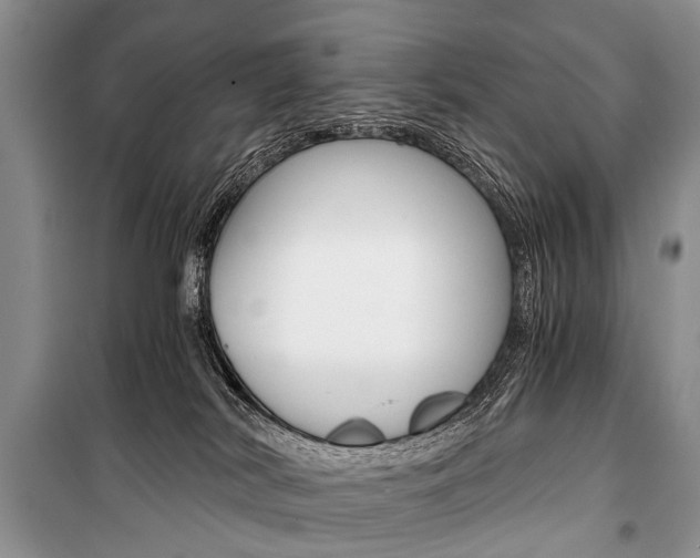 X0000101110038200806261120