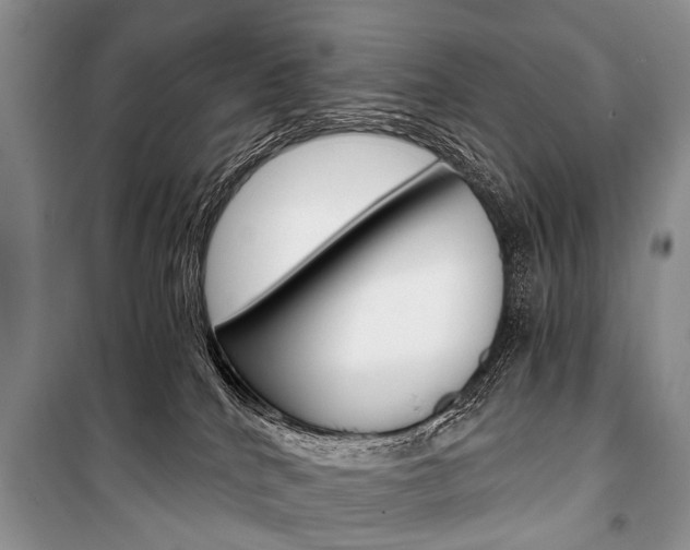 X0000101110040200806261120