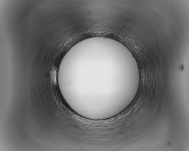 X0000101110042200806261120
