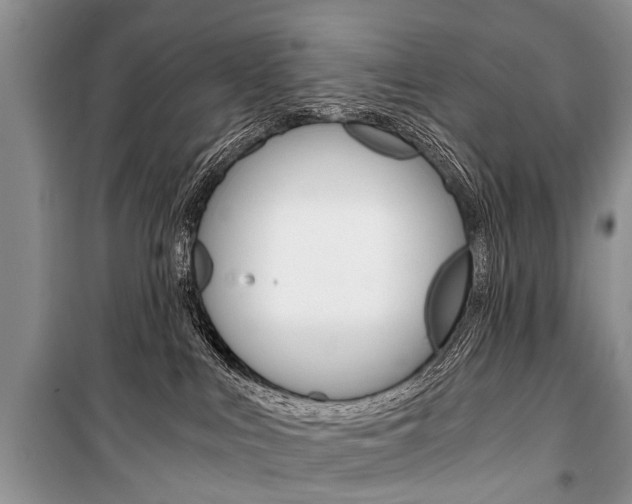 X0000101110043200806261119