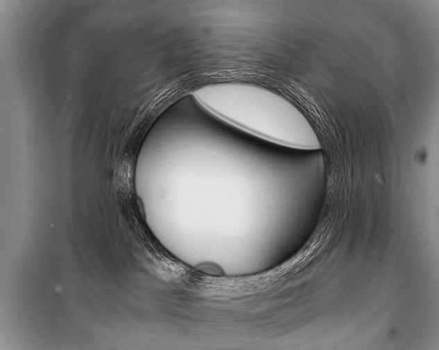 X0000101110045200806261119