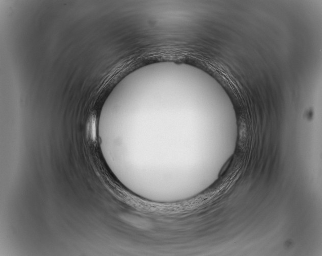 X0000101110046200806261119