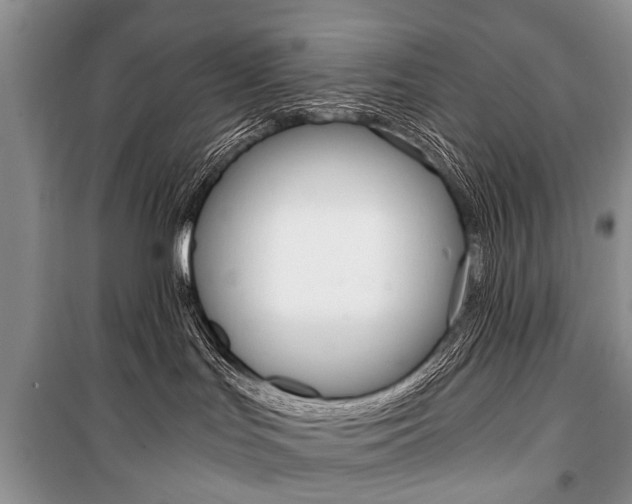X0000101110047200806261119
