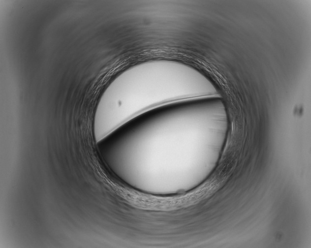 X0000101110048200806261119