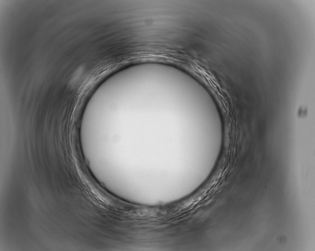 X0000101110049200806261119