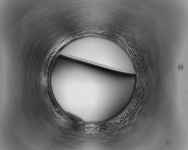 X0000101110050200806261119