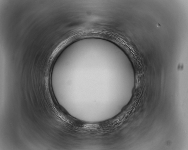 X0000101110051200806261119
