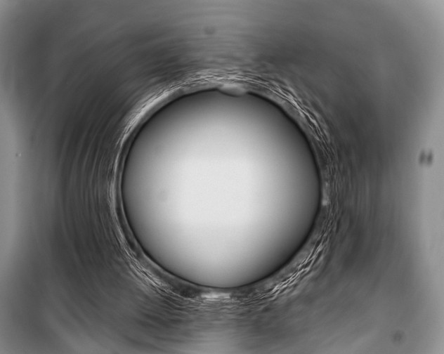 X0000101110052200806261119