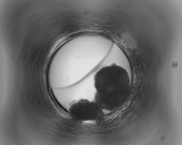 X0000101110053200806261119
