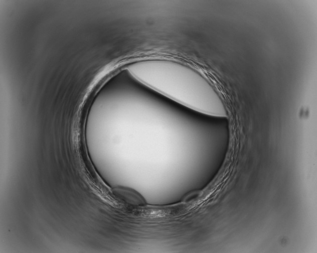 X0000101110056200806261119