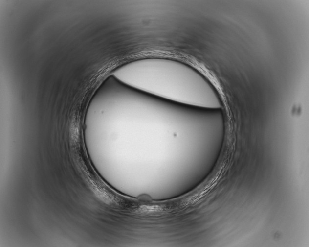 X0000101110057200806261119