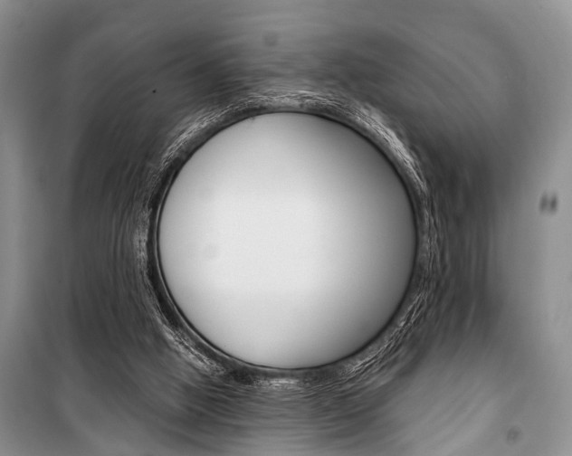 X0000101110058200806261119