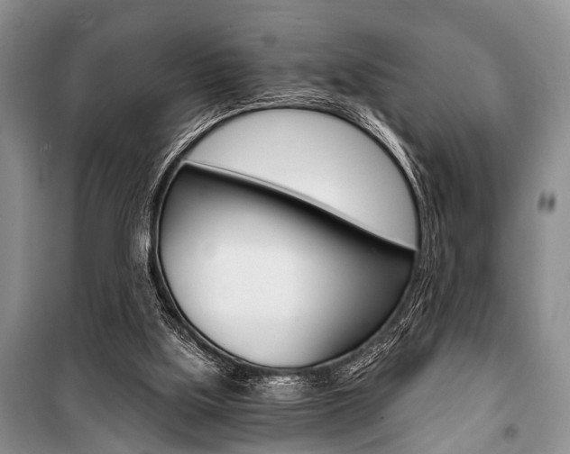 X0000101110059200806261119