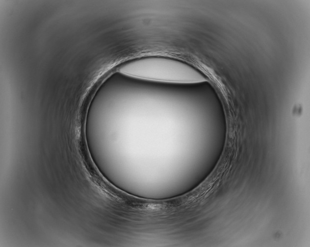 X0000101110060200806261119