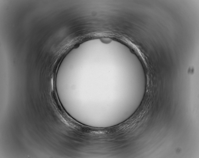 X0000101110061200806261119