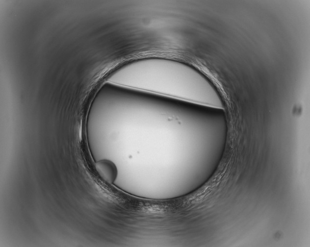 X0000101110062200806261119