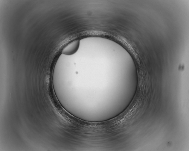 X0000101110063200806261119
