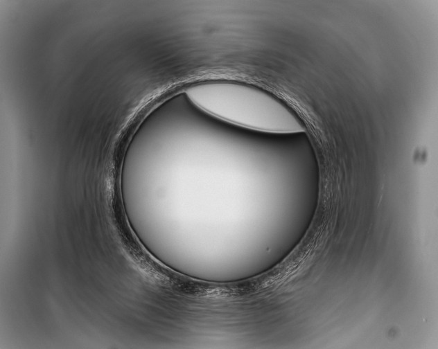 X0000101110064200806261119