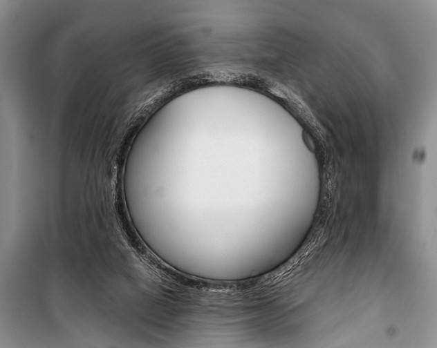 X0000101110066200806261119